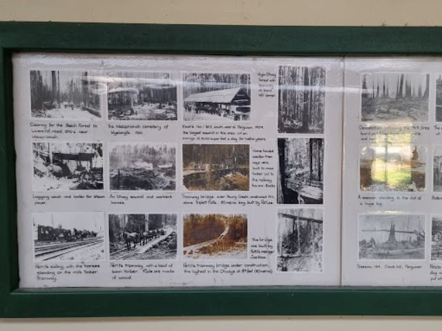 Beech Forest – Beech Forest Information Shelter
