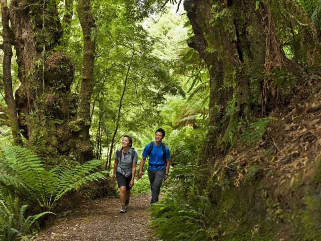Lavers Hill – Melba Gully National Park